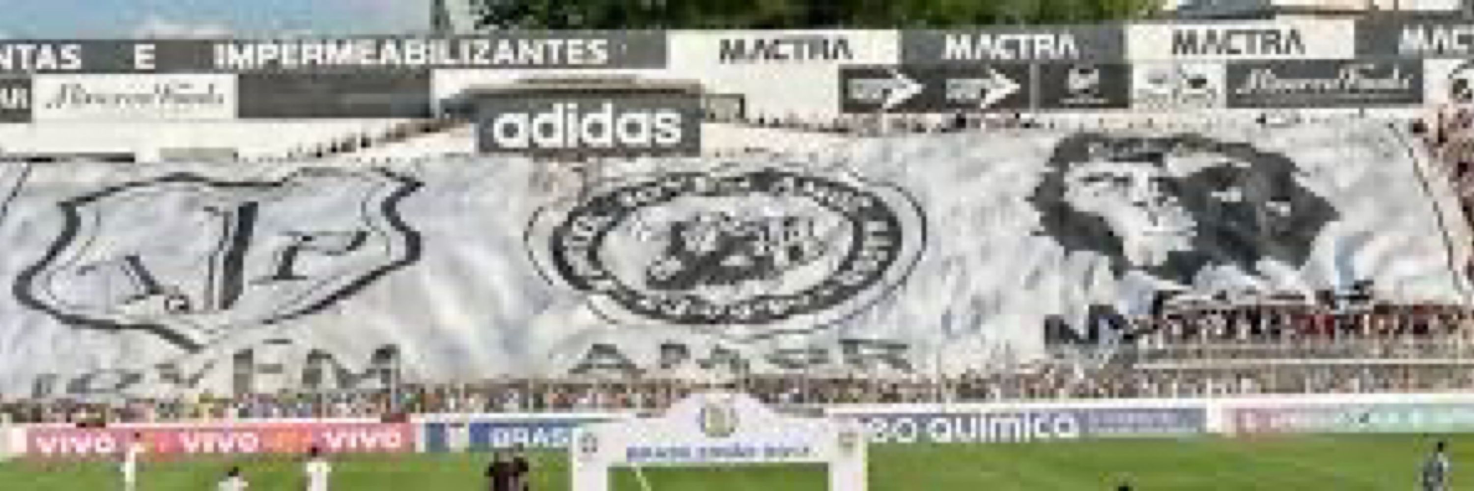 Bandido Canalha