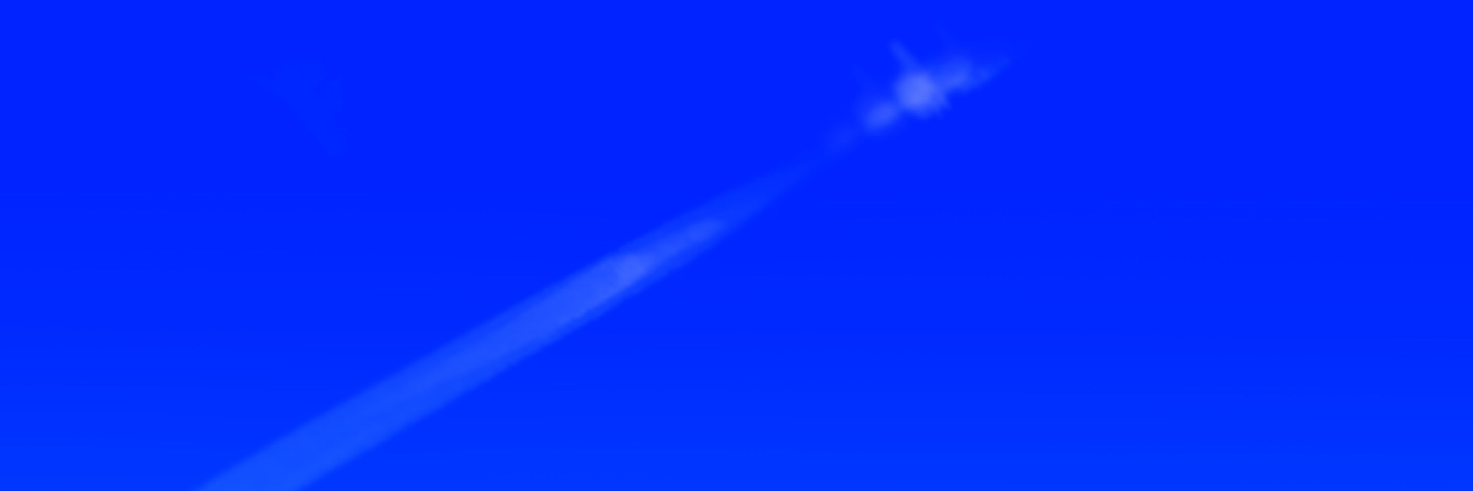 ねぎ