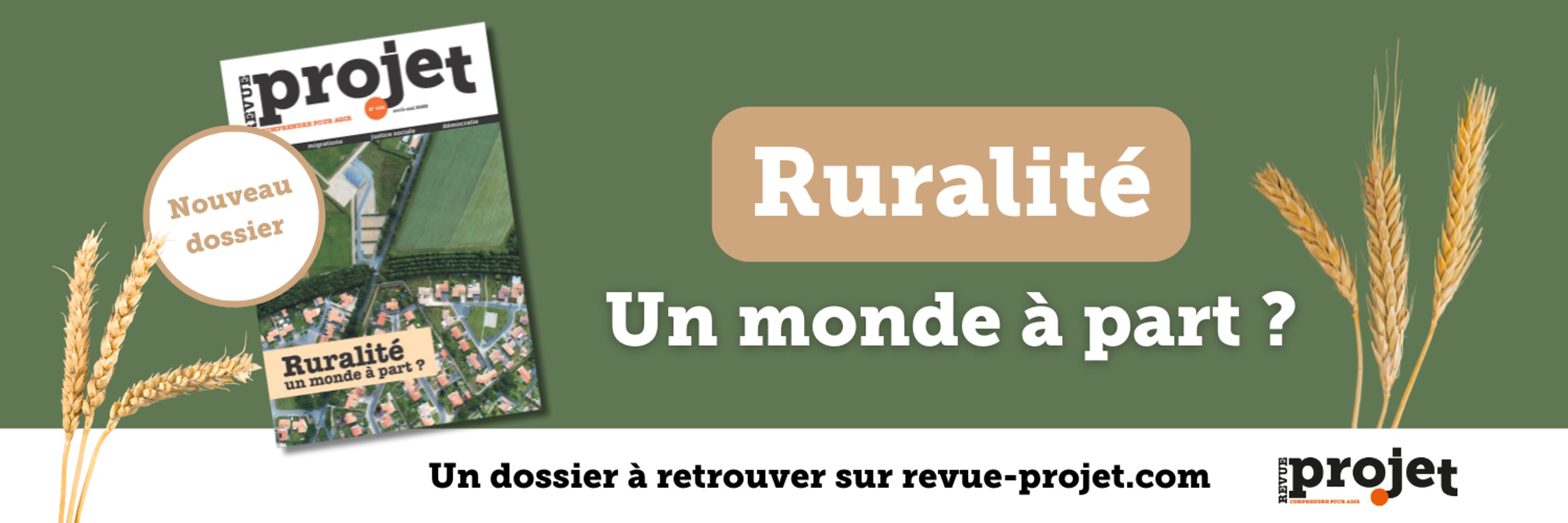 Revue Projet