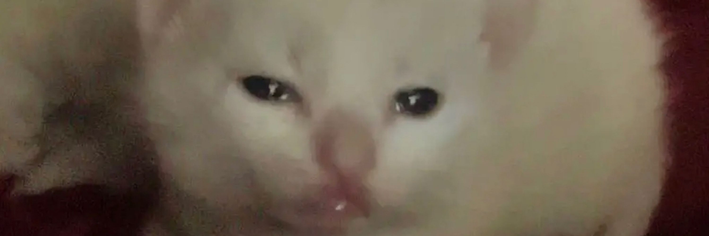 Mu