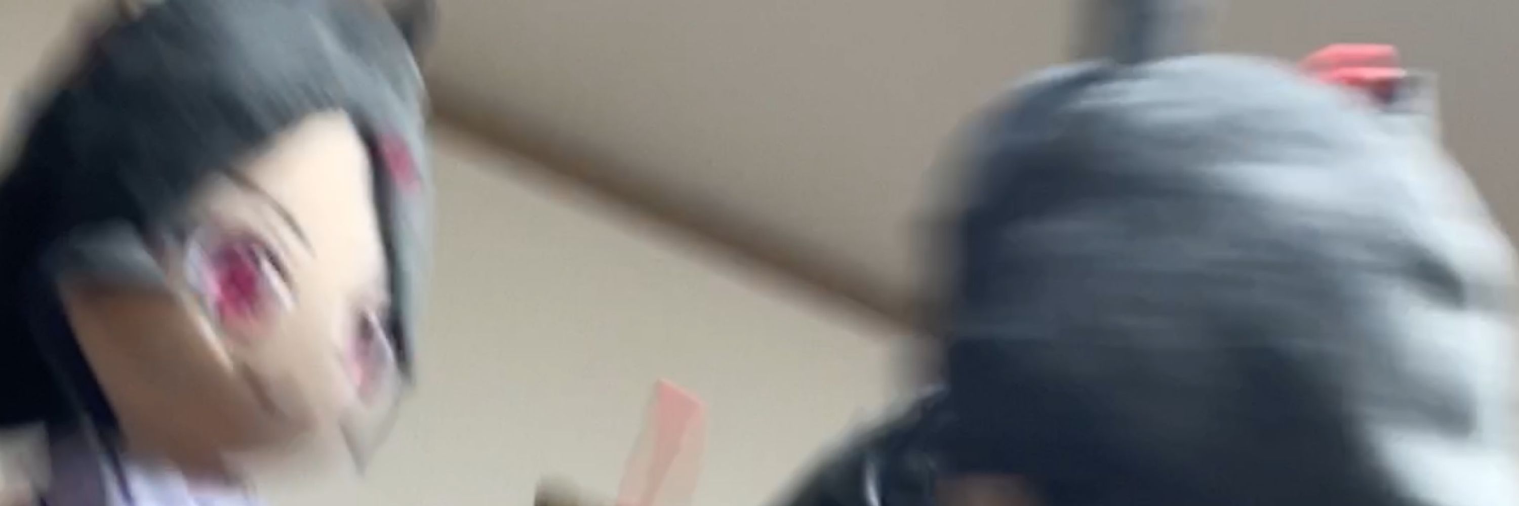 お散歩