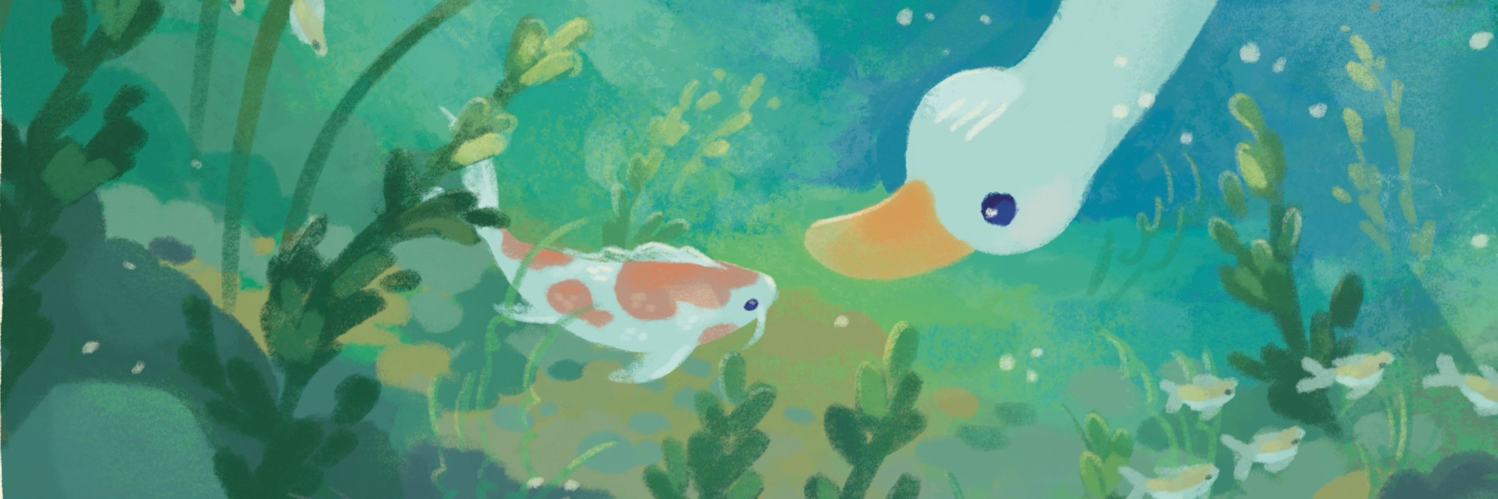 quail ☀️