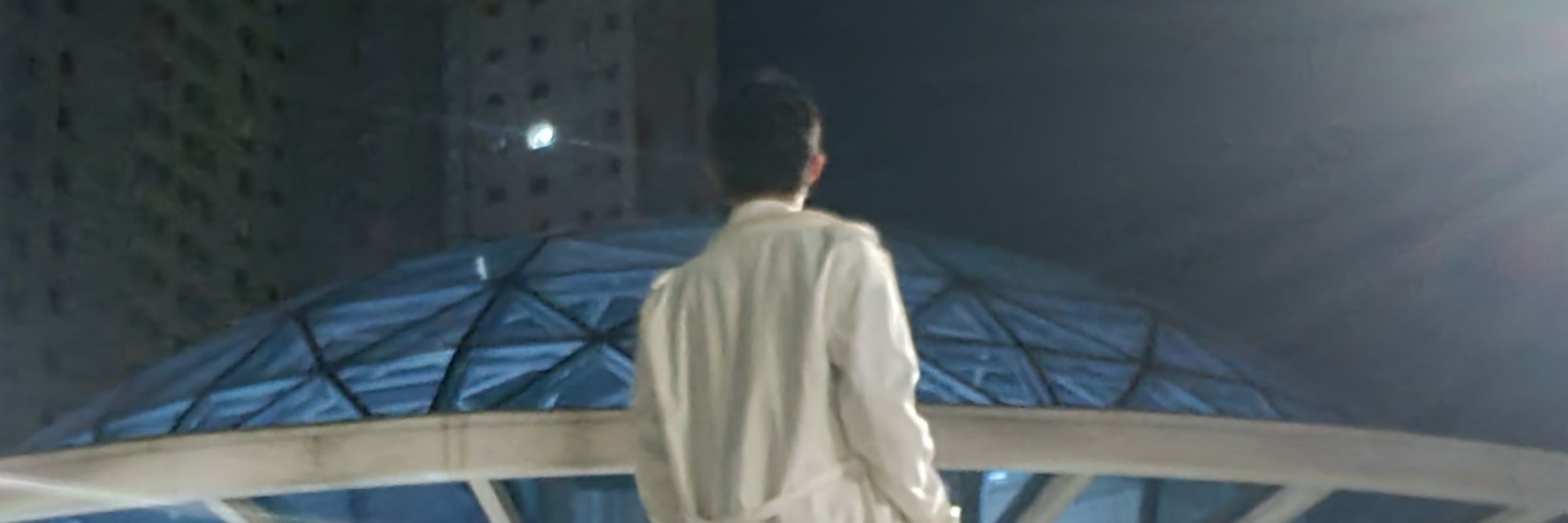 플냥(해방된 성좌)