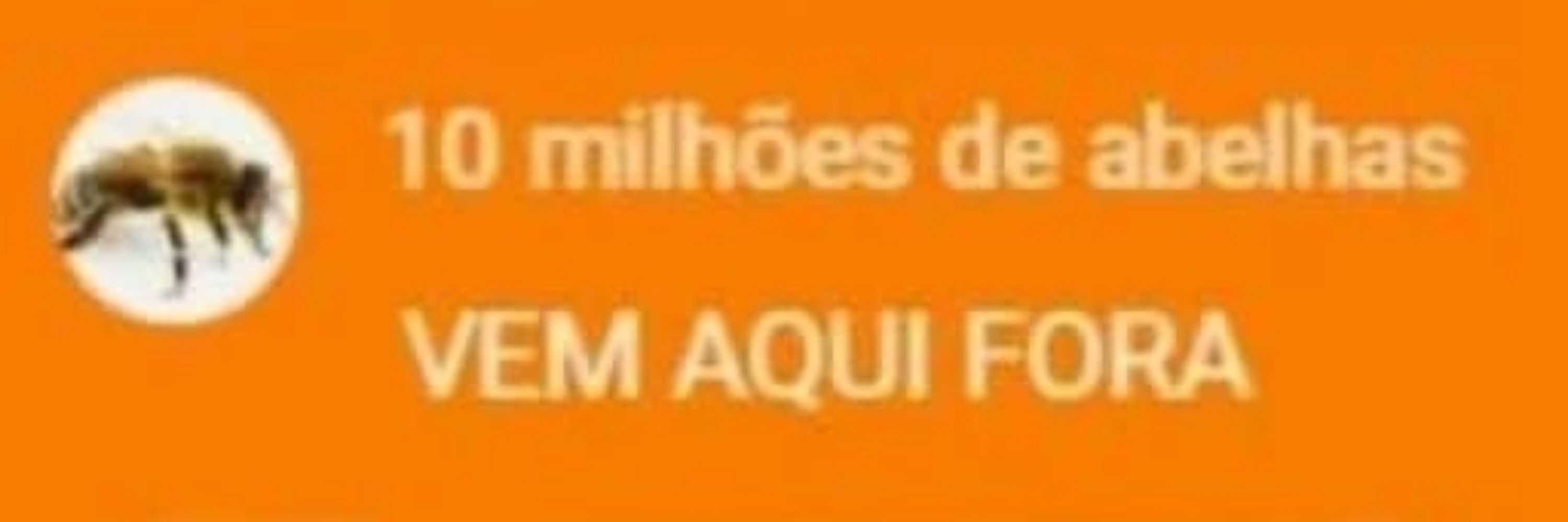 fabo