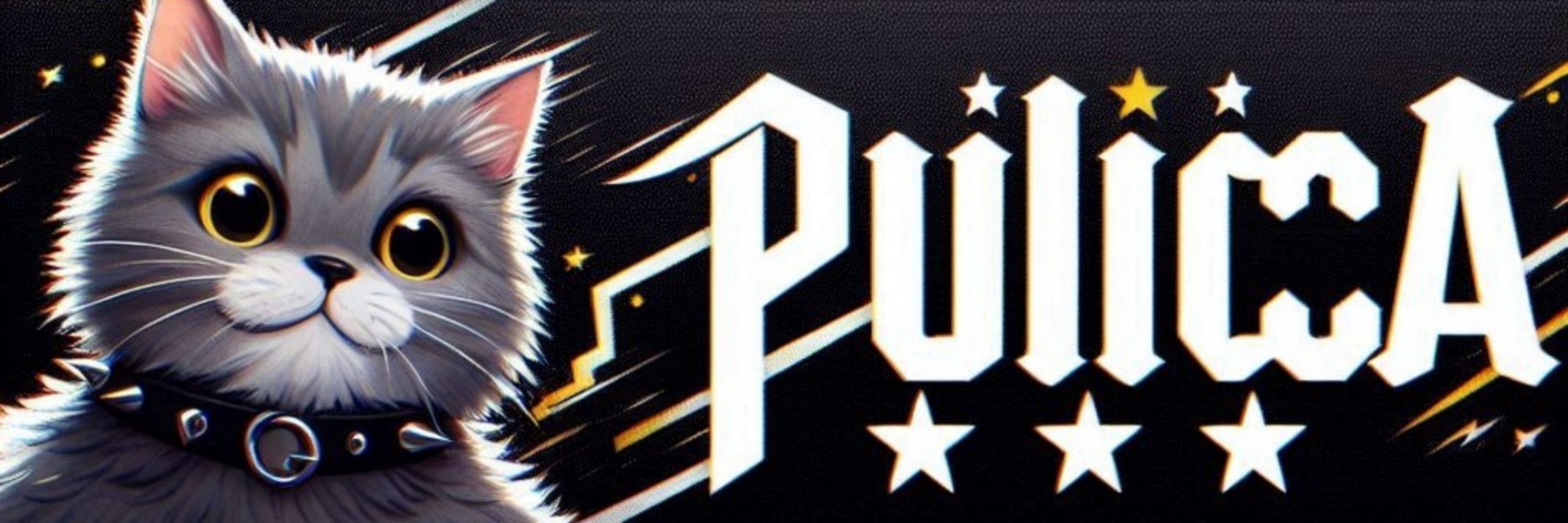 Pulicca