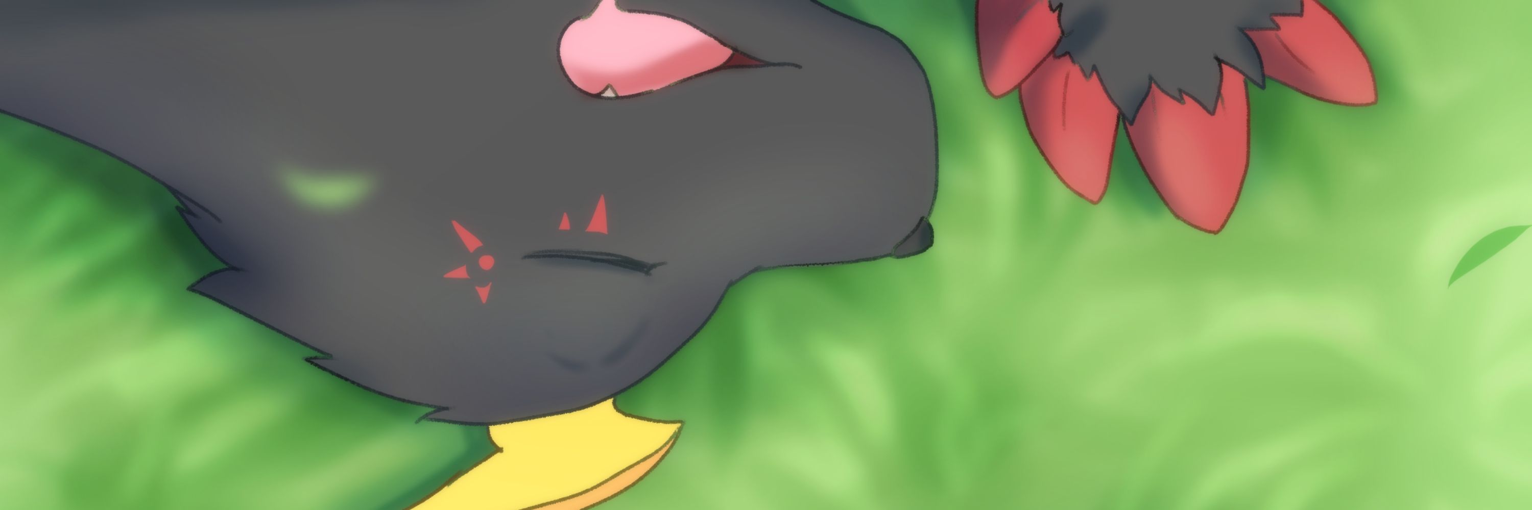 ﾘﾃﾞｨｰ