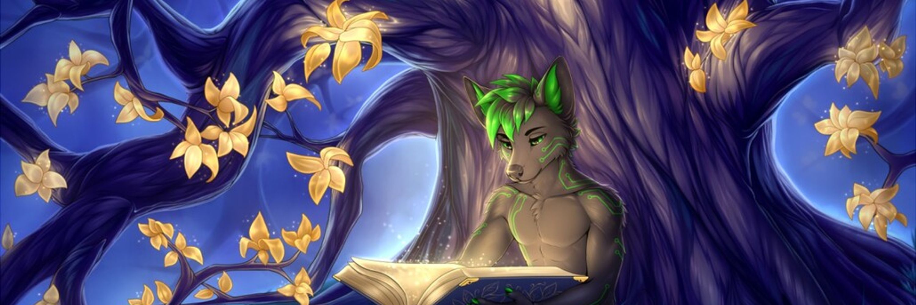 Reyu Zenfold