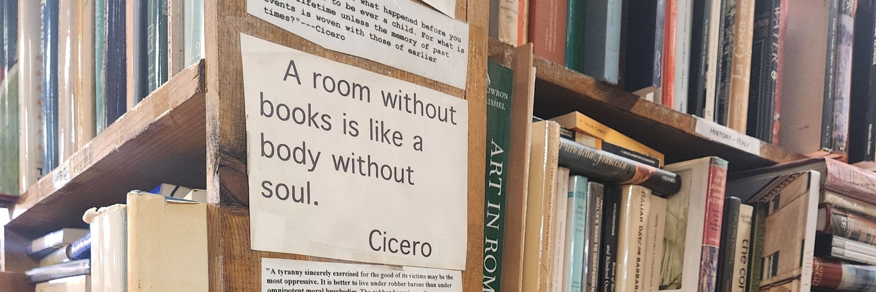 aj ✨🧠🍄📚