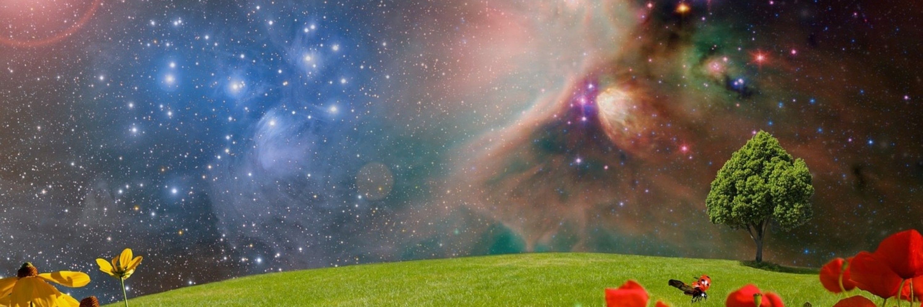 𝙏𝙃𝙊𝙍𝙄𝘼𝘾