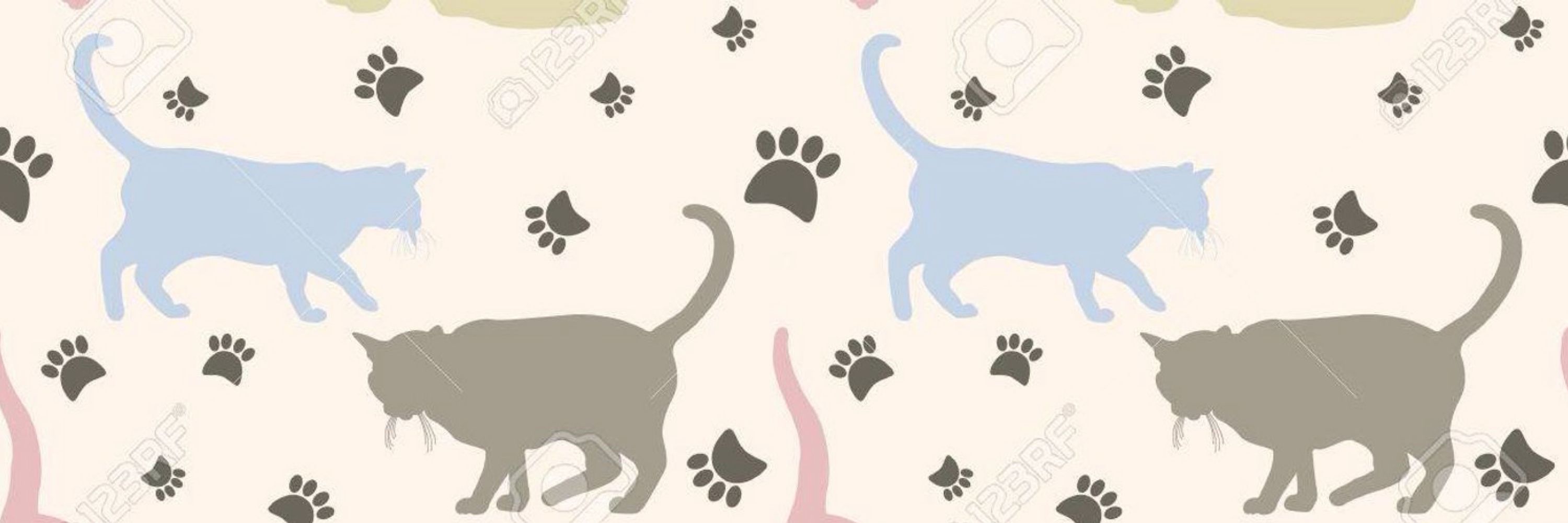 猫畑にゃん三郎