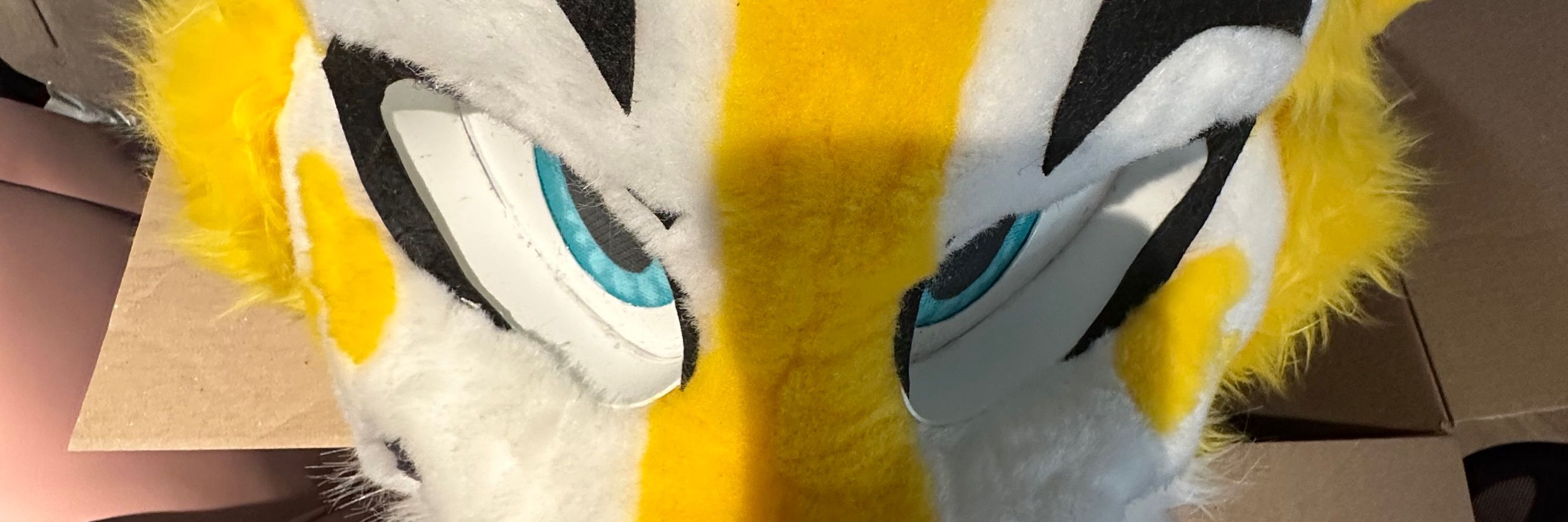 Banner the Banana Dog