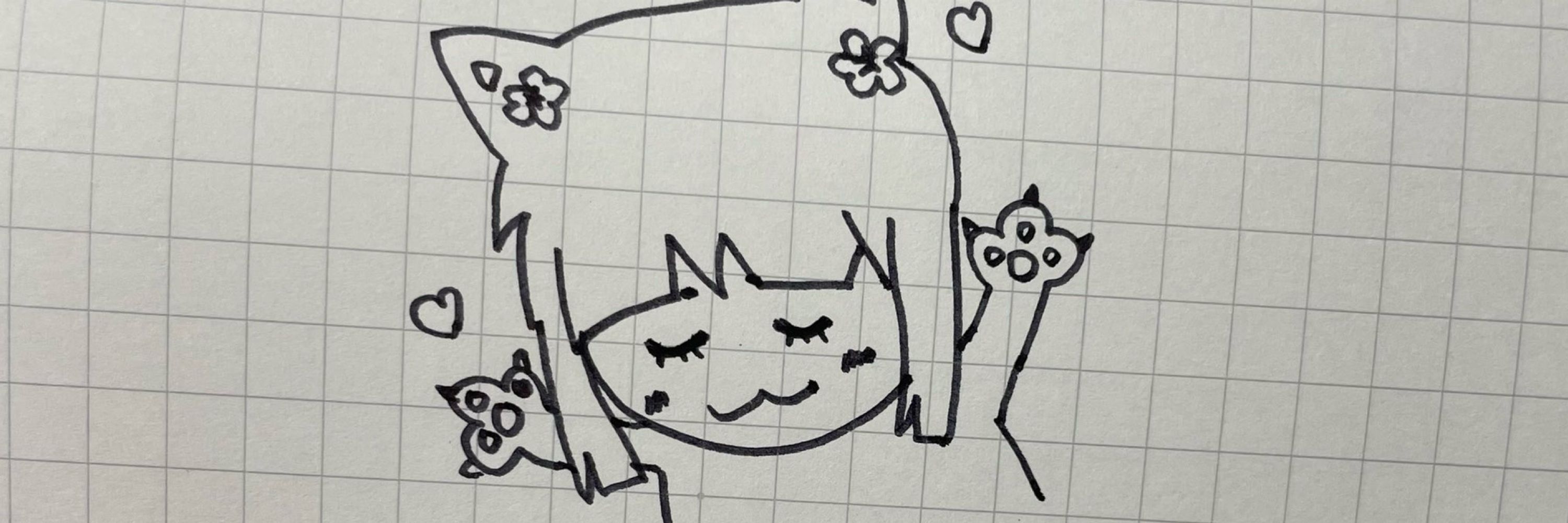 猫猫