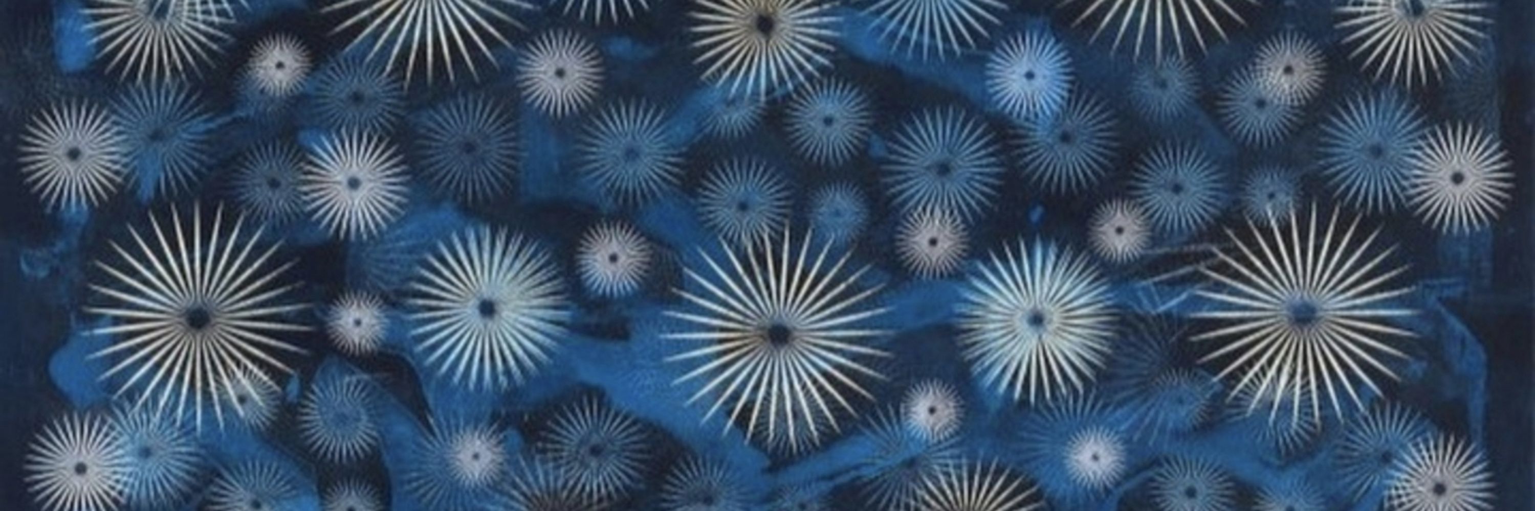 Brigitta Bernart-Skarek