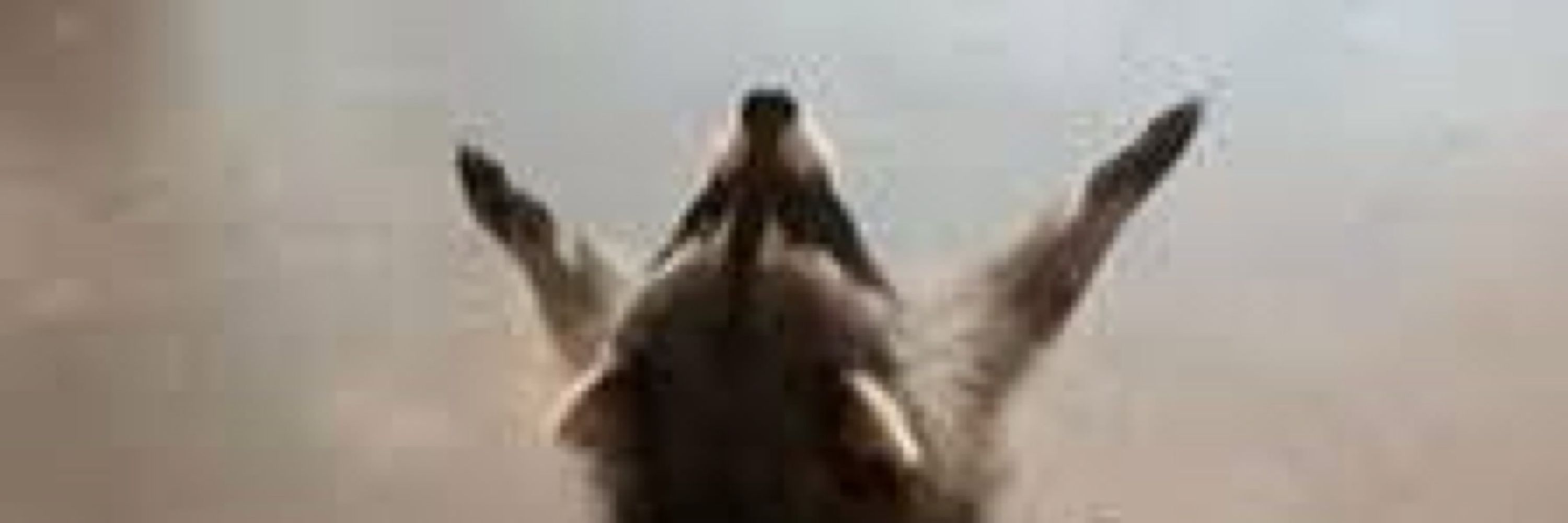 bnuuy