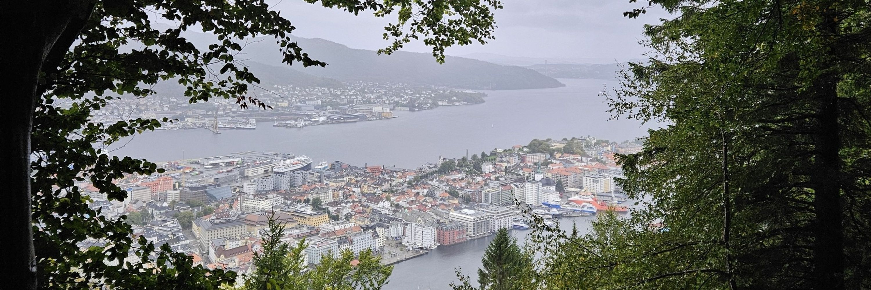 Marte S. Skogen