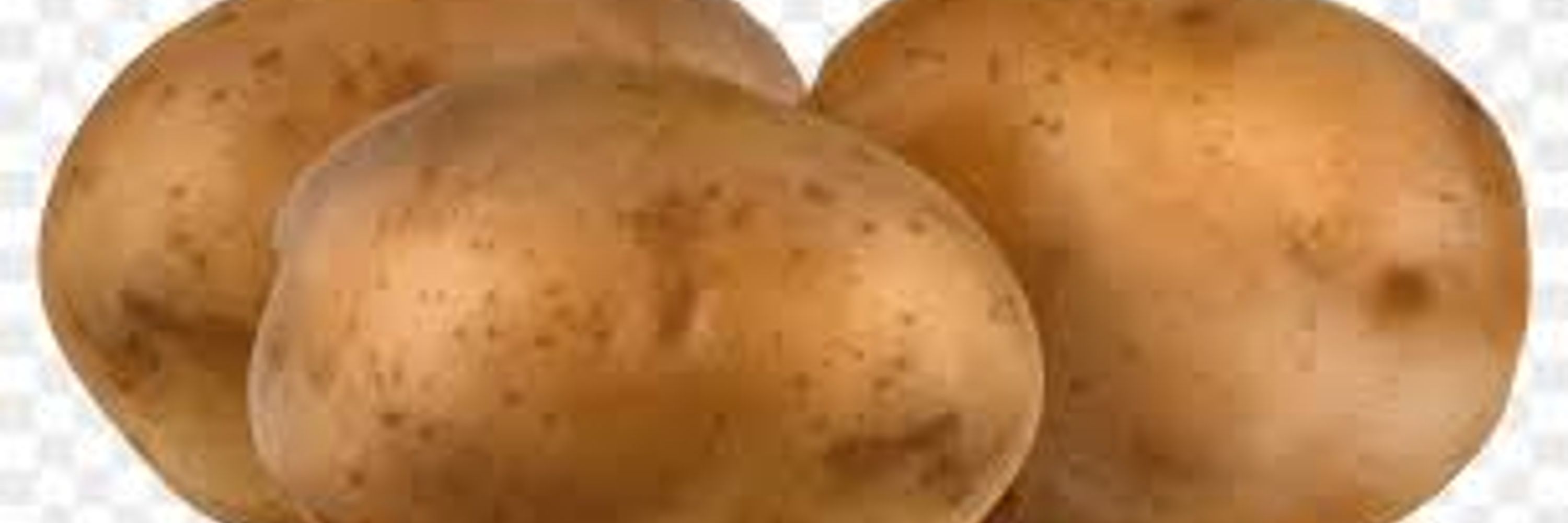 Jon de Terre