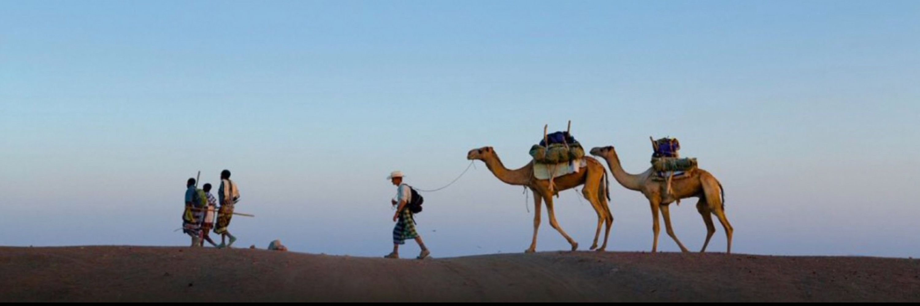 Awsa 🐪 ⛺️🌴