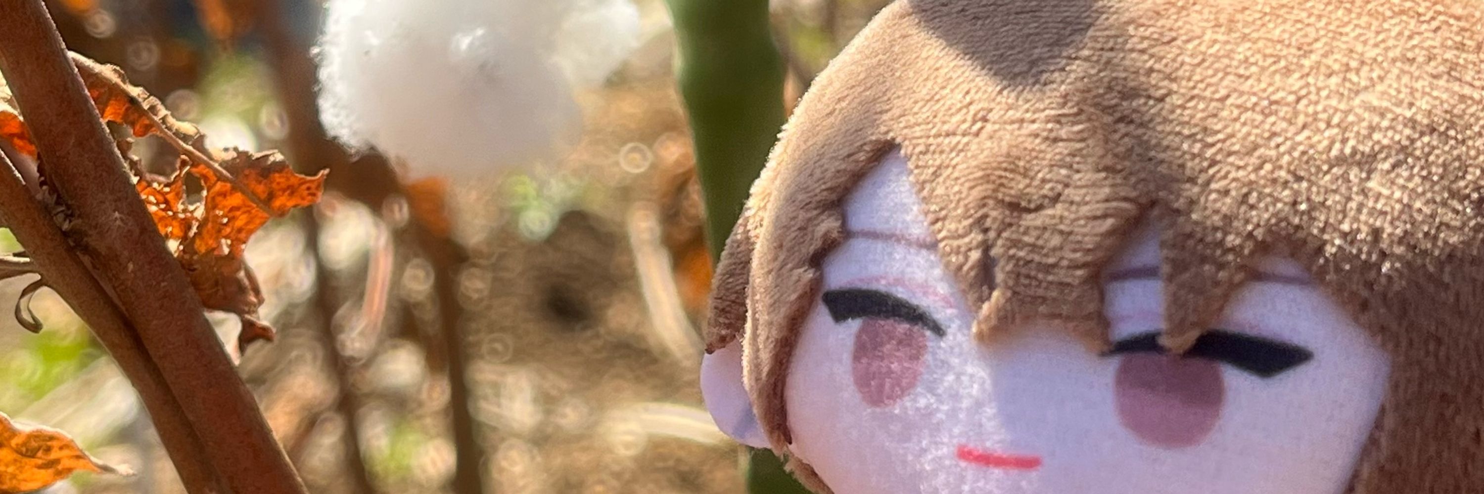 にかい