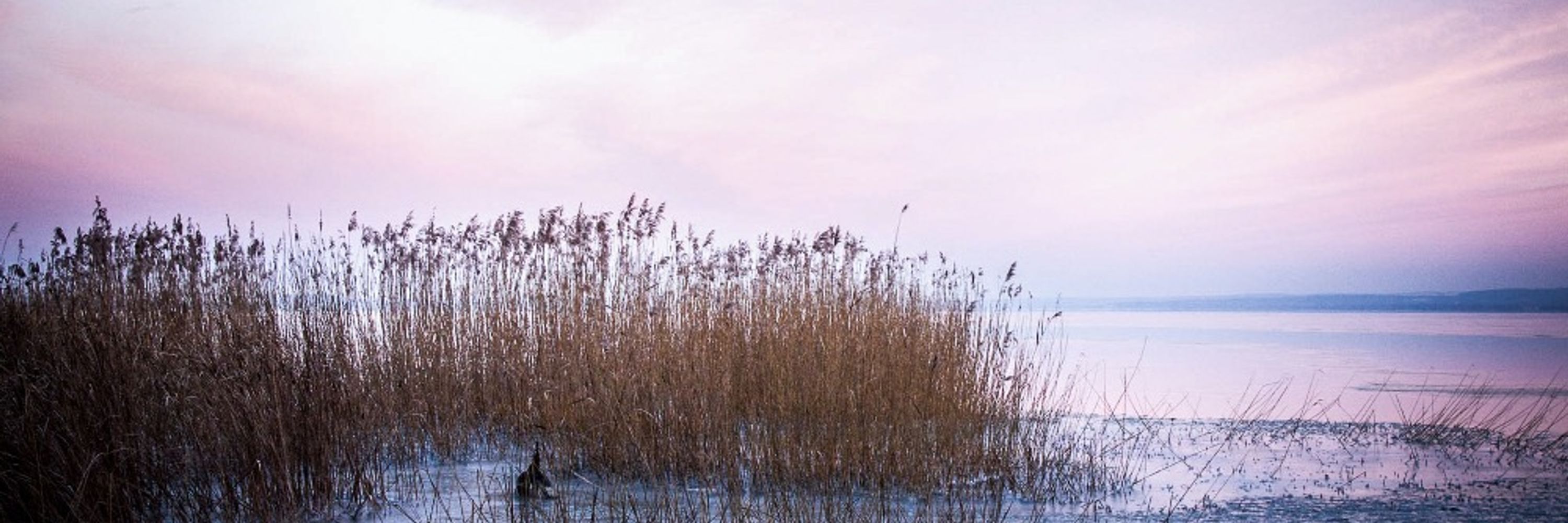 balaton