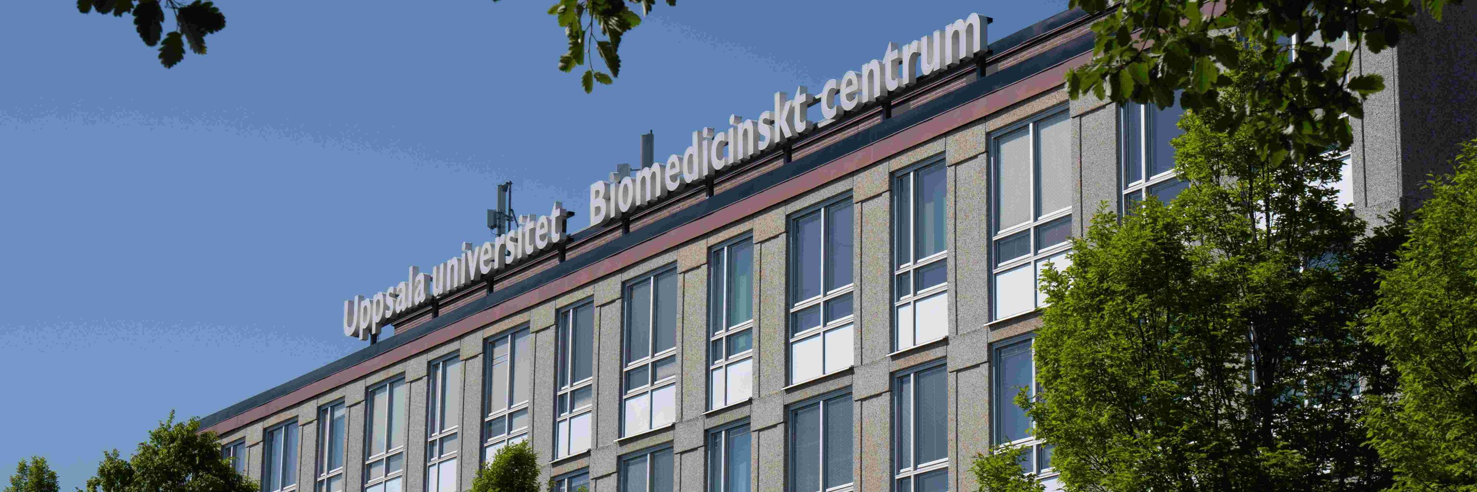 Centre for Chemical Mechanisms of Life