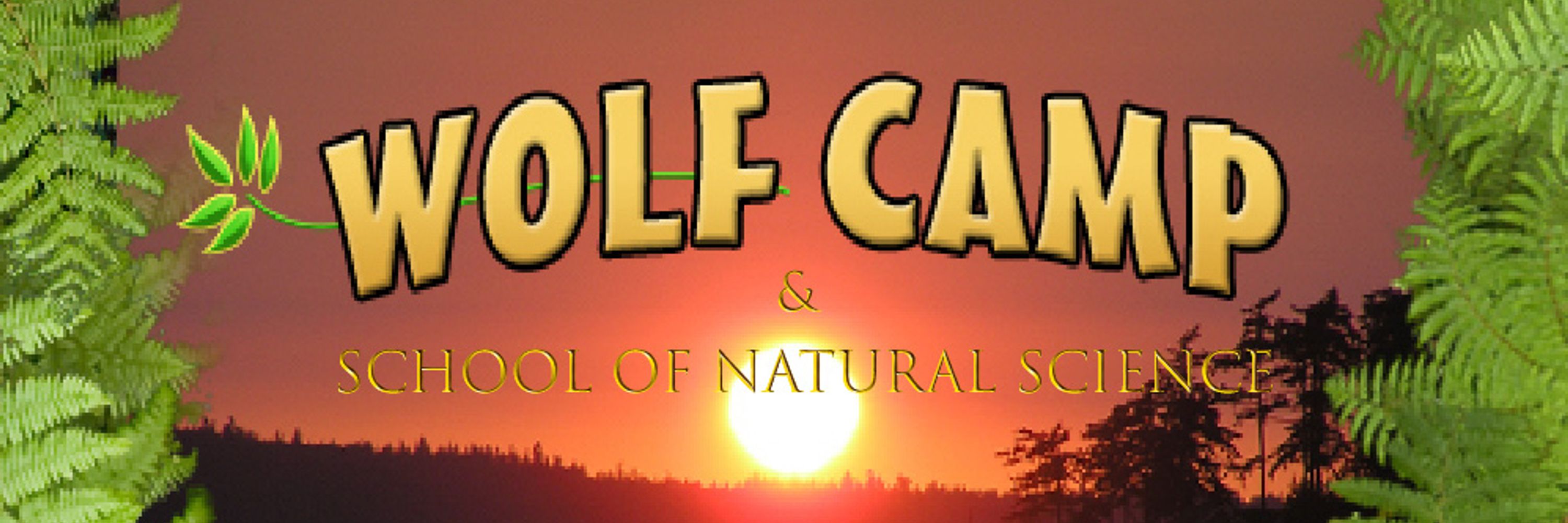 Wolf Camp & School of Natural Science