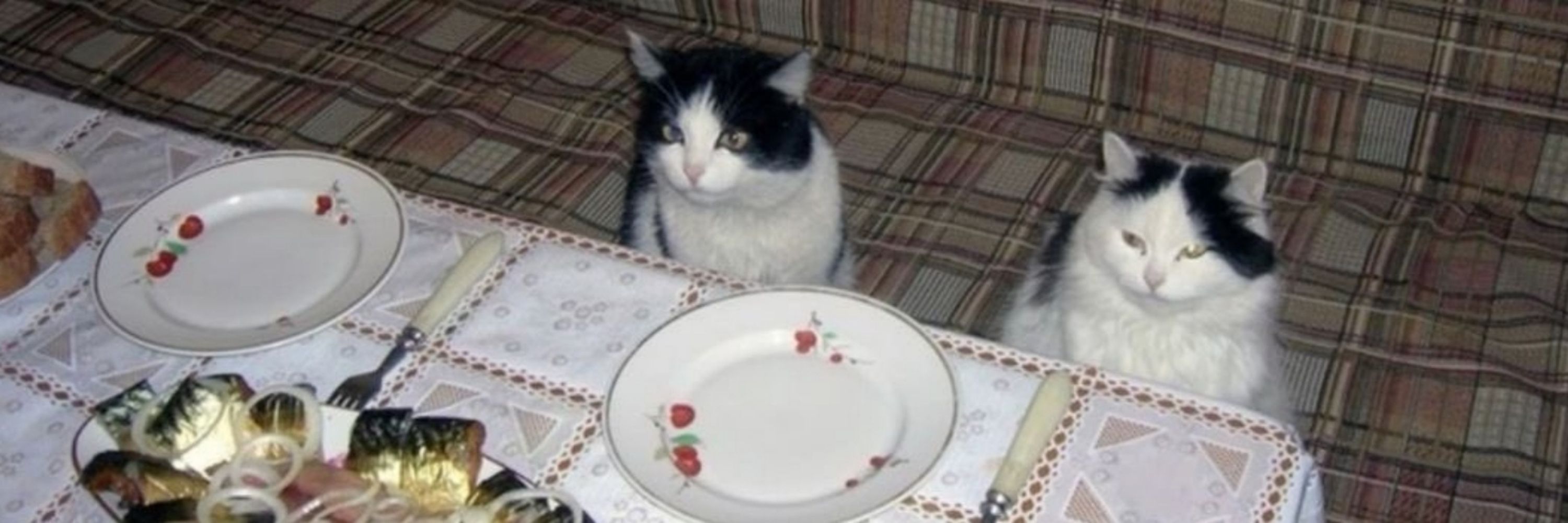 치리공