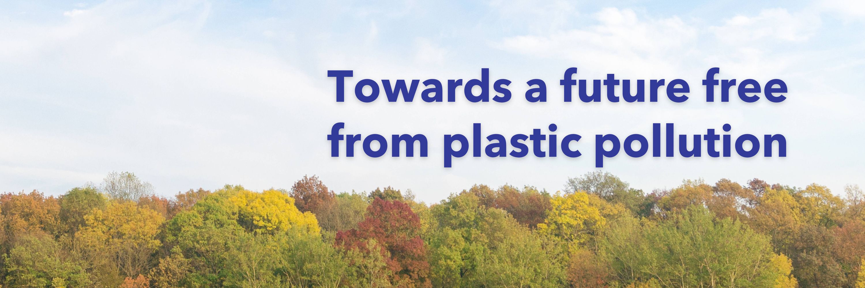 Rethink Plastic alliance