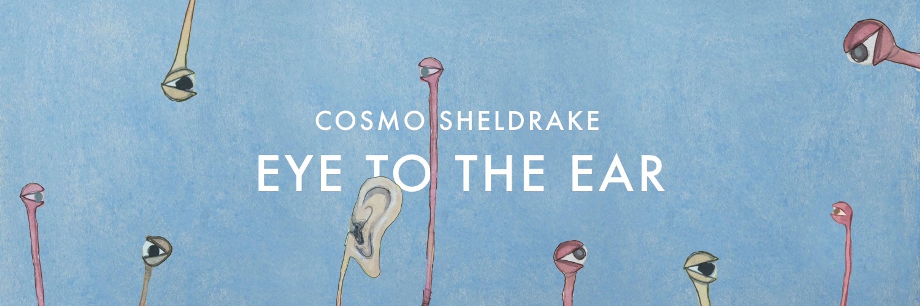 Cosmo Sheldrake