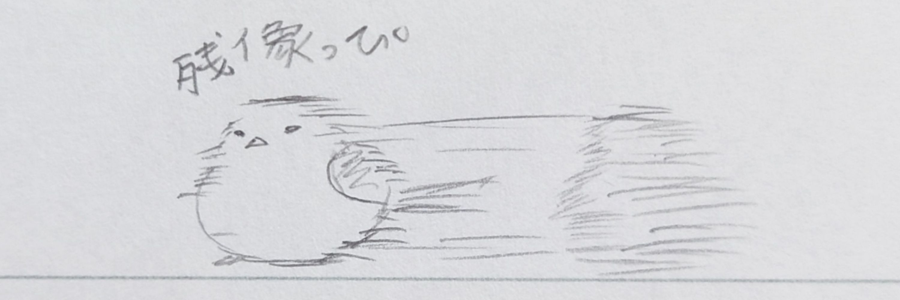 しゅーくん