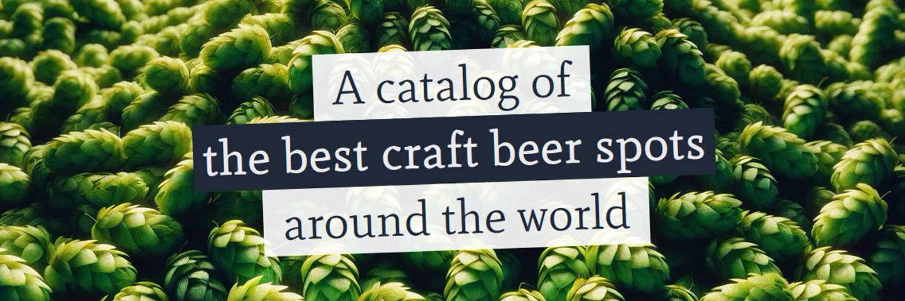 wheretodrink.beer