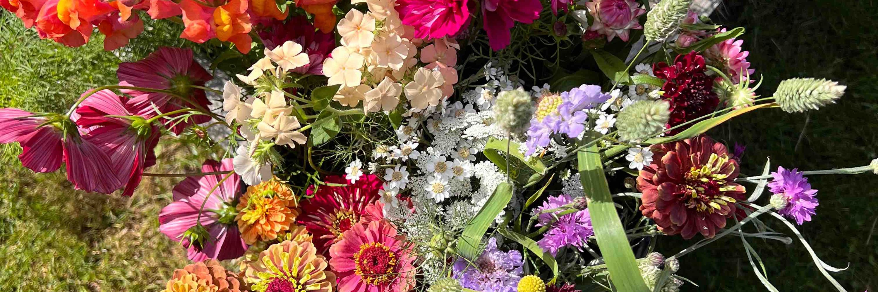VerdeFlowerCo.