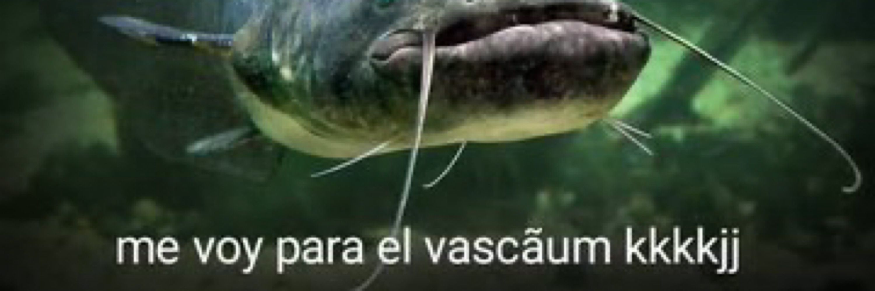 Guerini