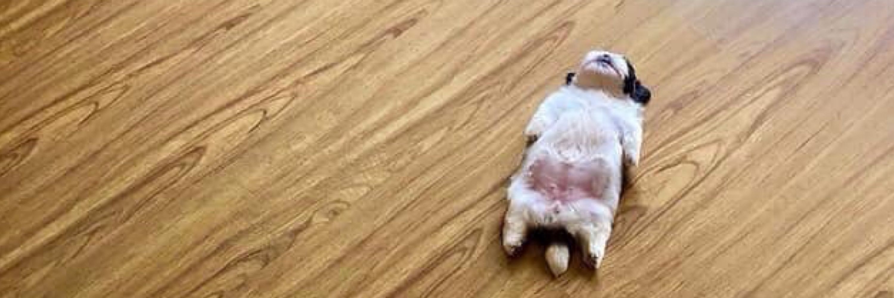 ไซม๋อนลี ◡̎✧