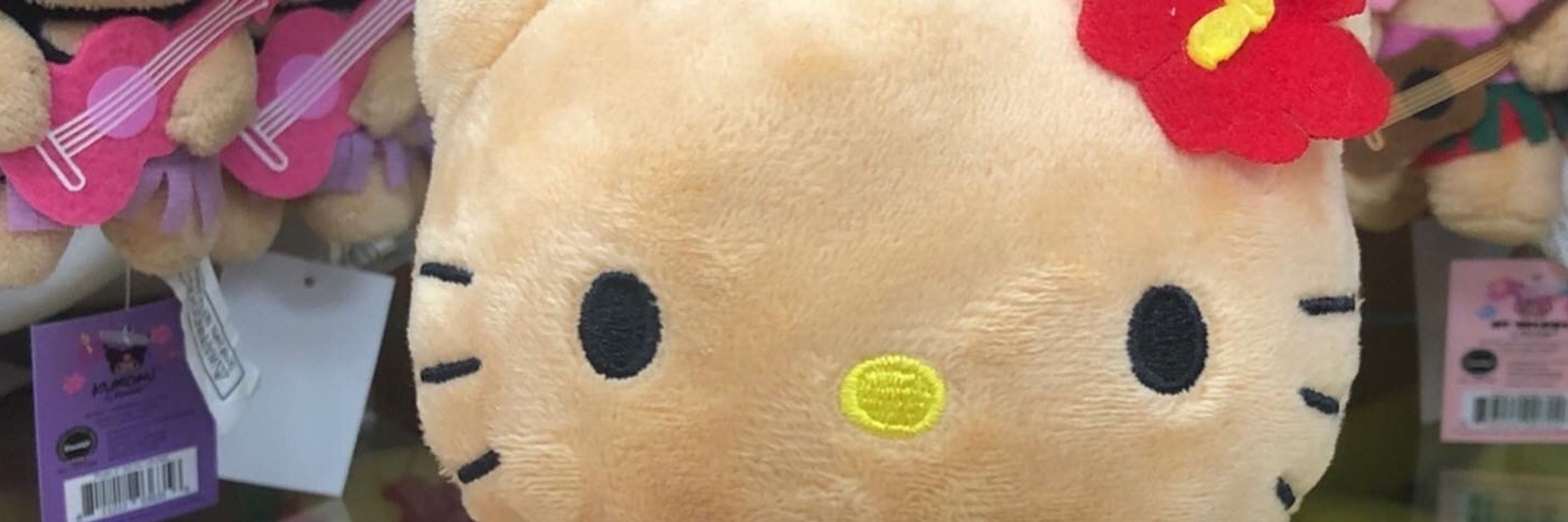 밤고구미