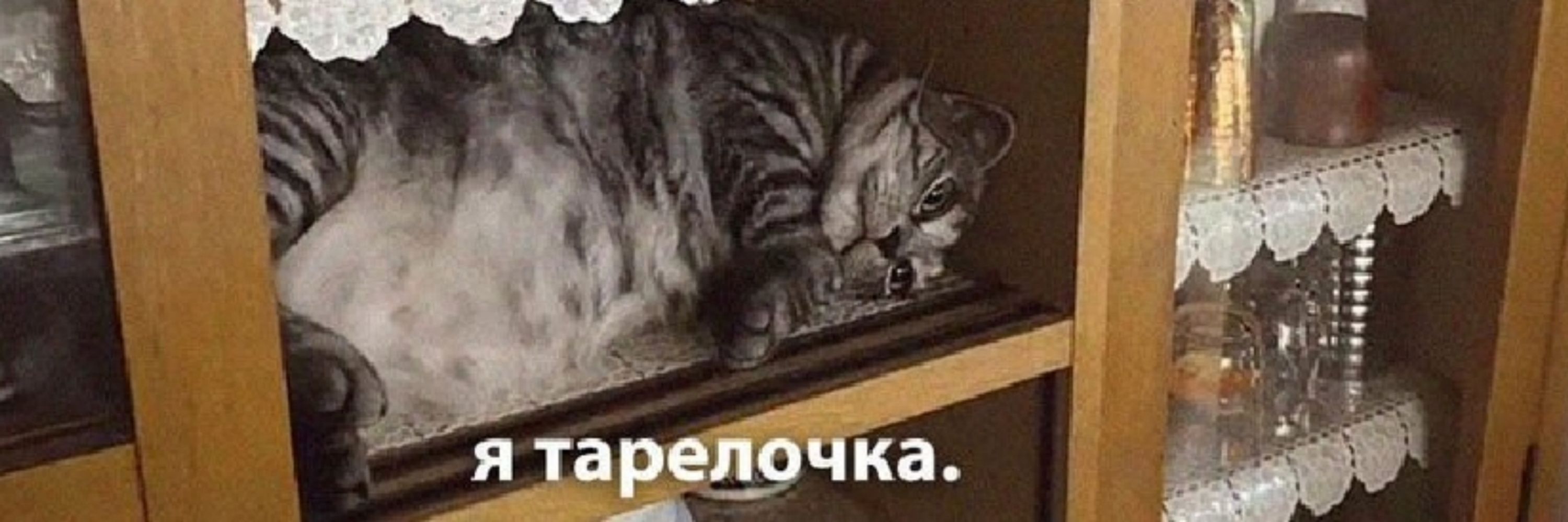 Преследующие чучело совы