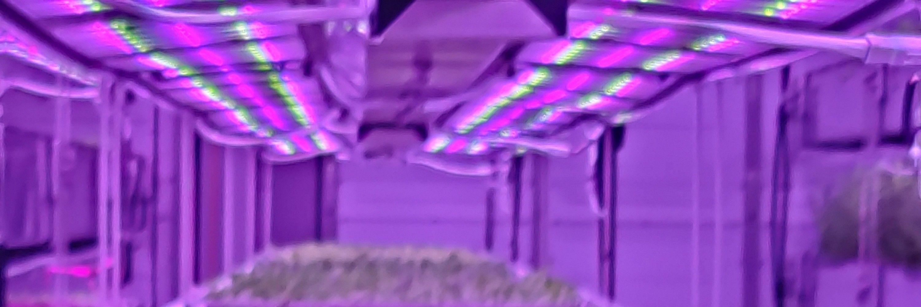 Alex Webb Lab