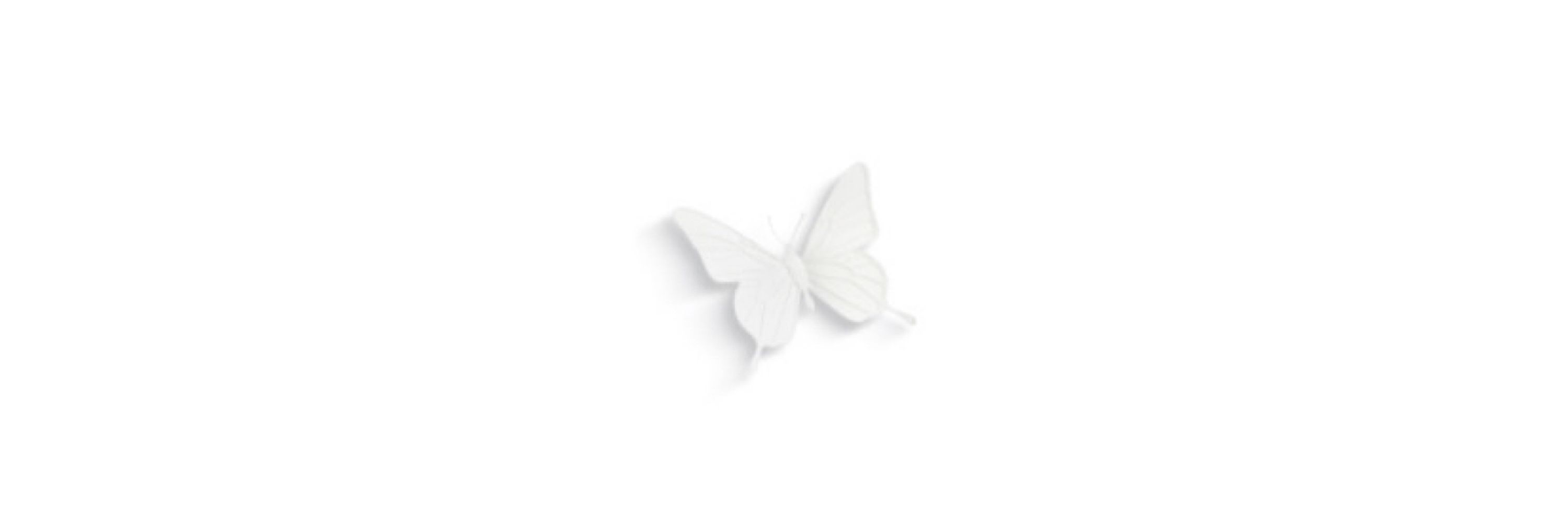 🦋 gui ✩°｡✮