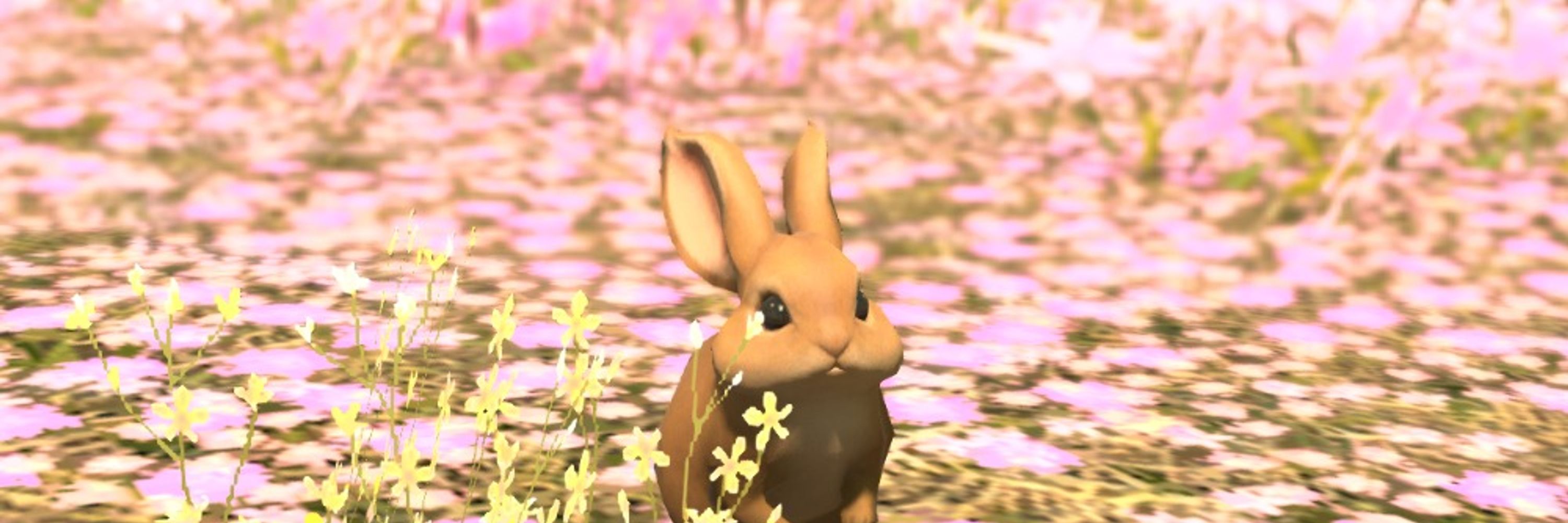 蒼兎