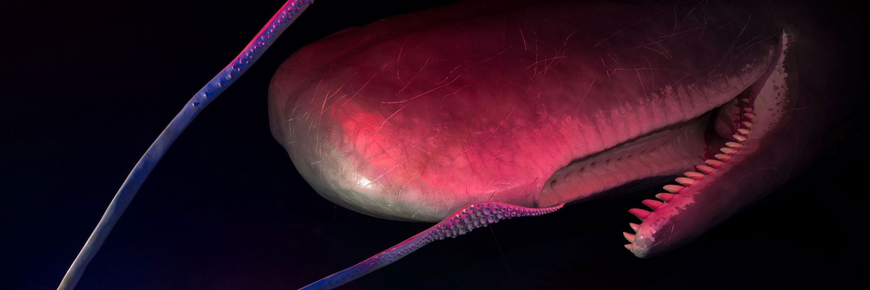 Tusk
