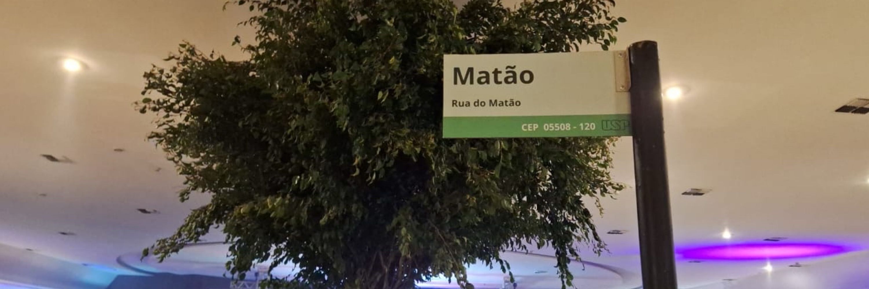 pêssego