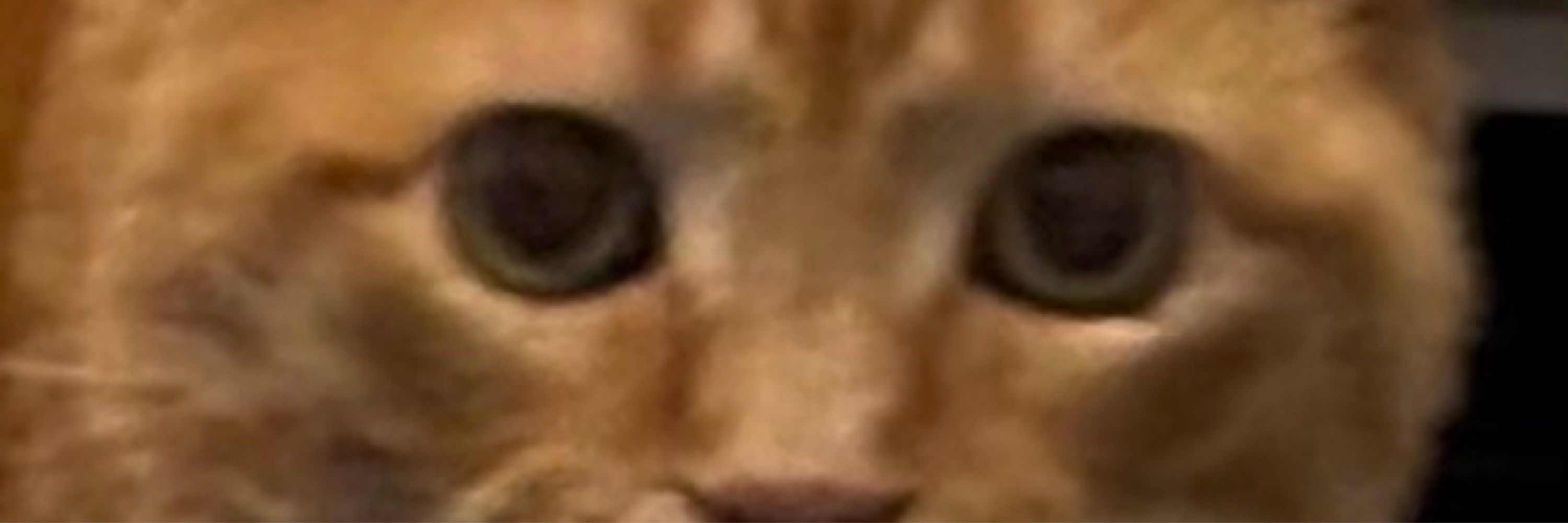 Clachmun