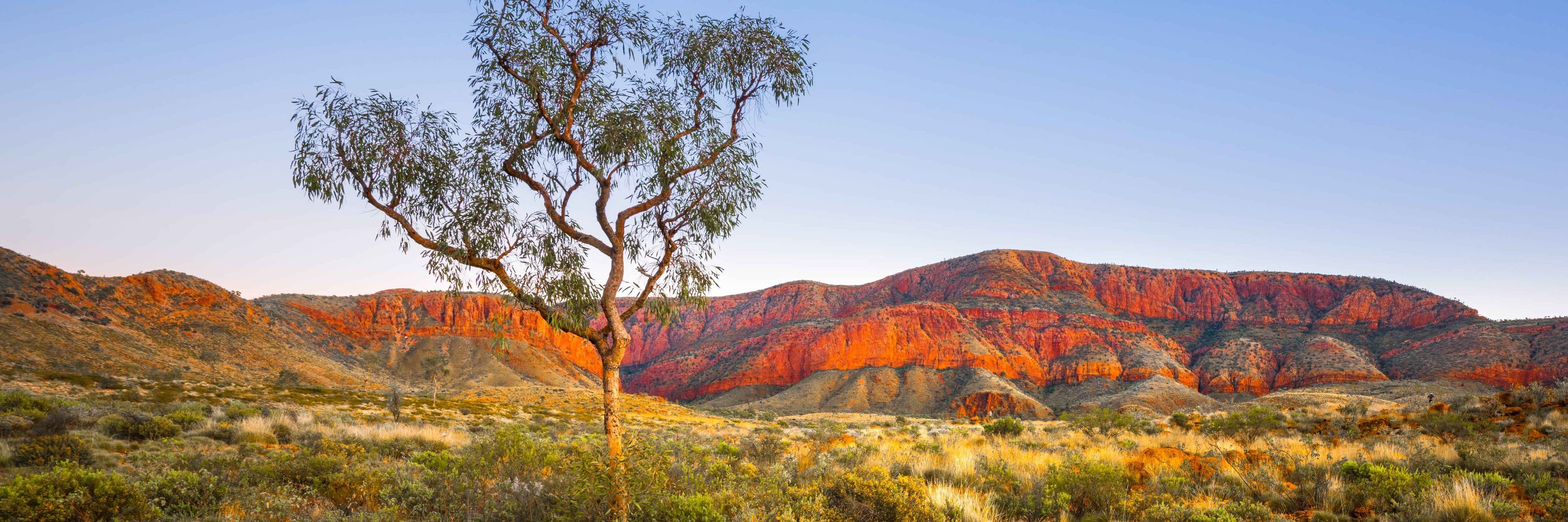 IUCN Australian Committee