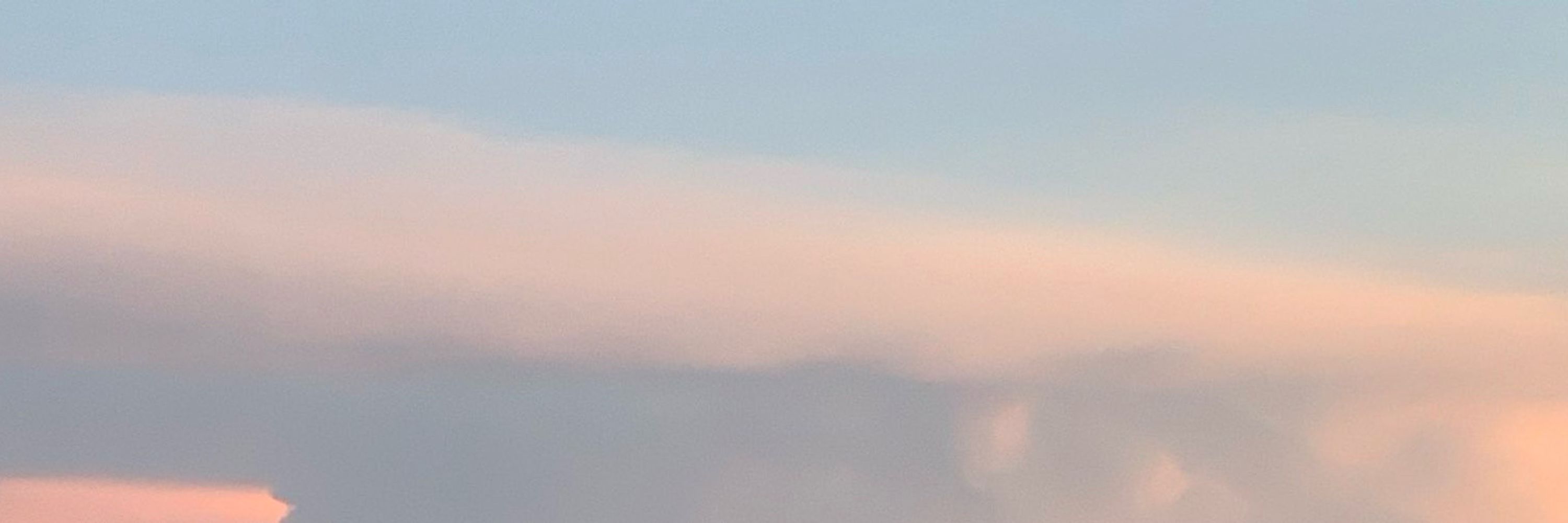 ゆうだよ