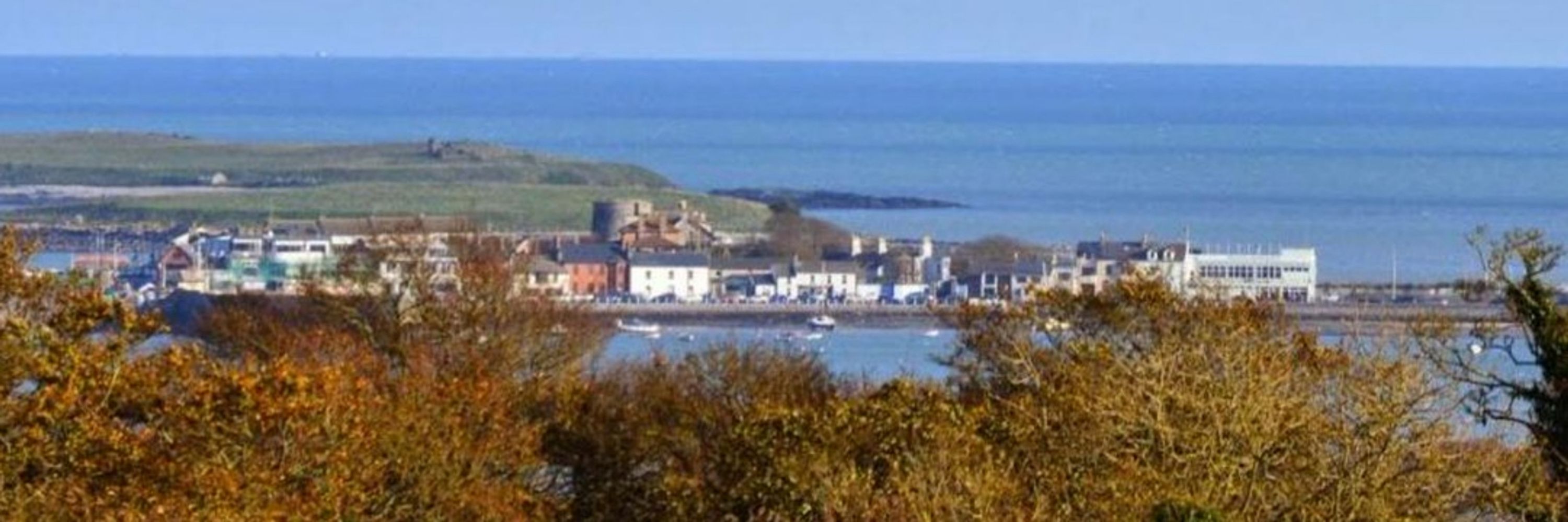 Dominic Byrne