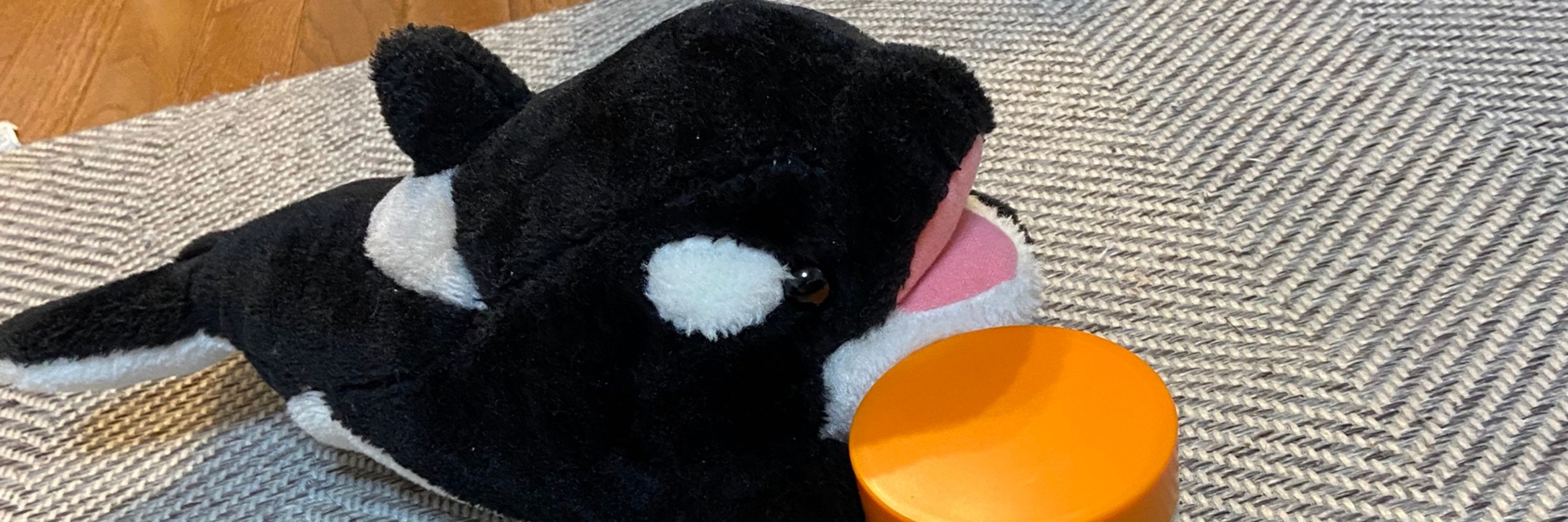 ちー