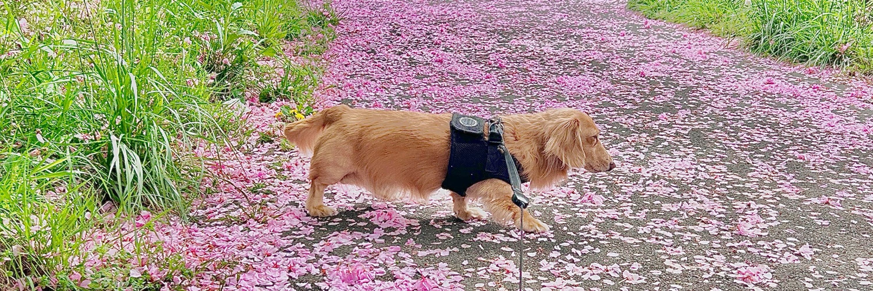 つんちゃん💚🎀