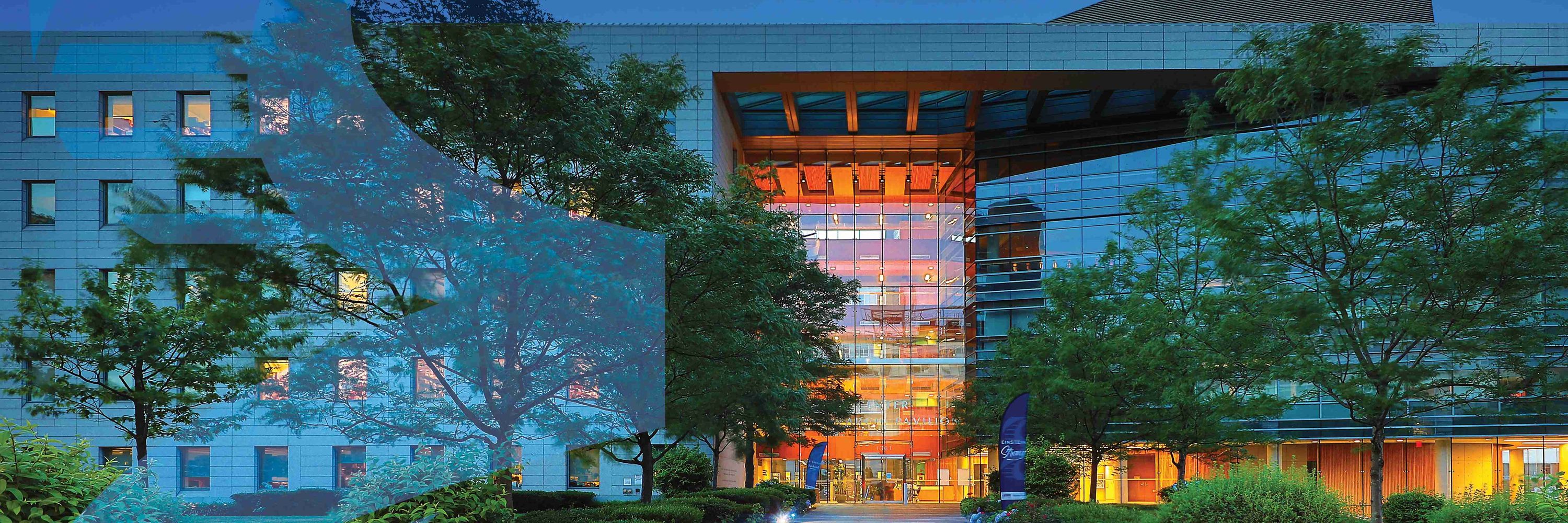 Cancer Dormancy Institute @ Einstein