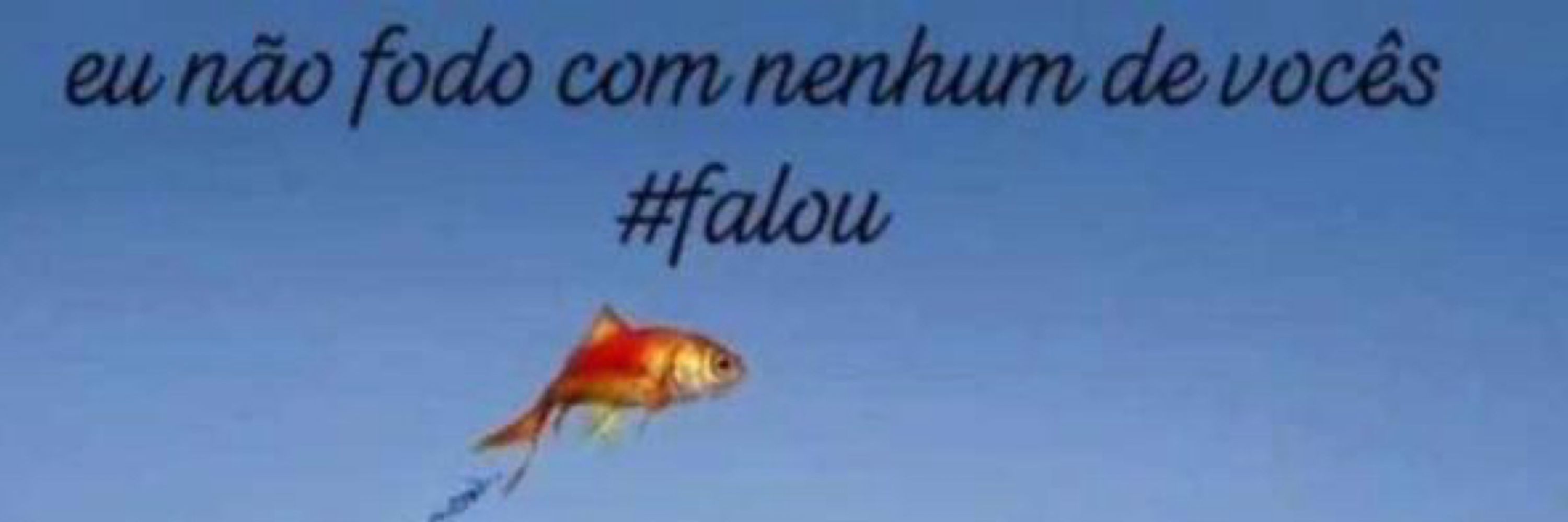 Leolis 😼
