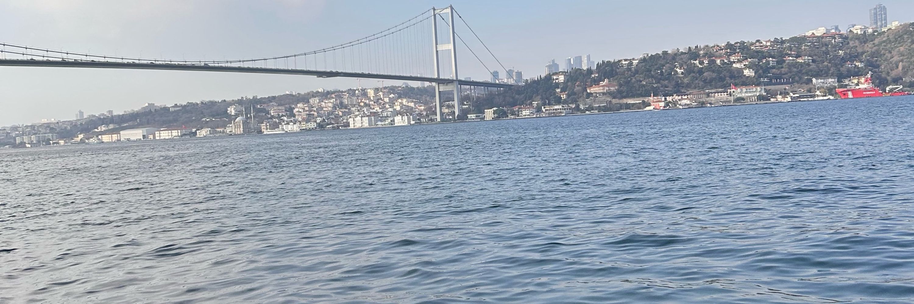 Nevin Soylu