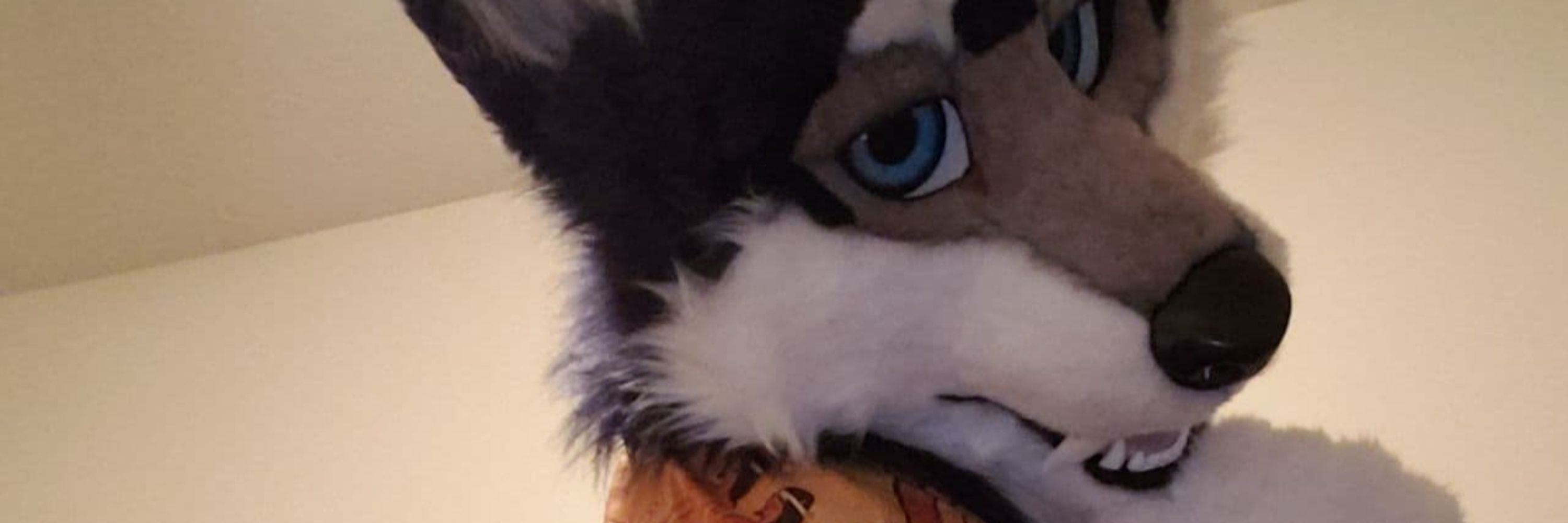 Saberhusky